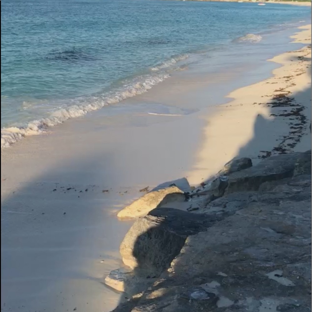 Meet your Posher, Sofia